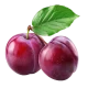 product-6
