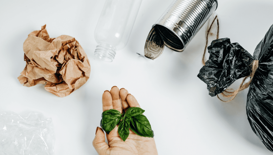 Waste Management: Here's why we are stressing about it!